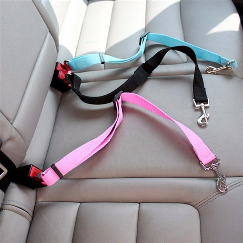 حزام أمان للقطط والكلاب في الس - مراجعة Travel Accessories Dog وسعره