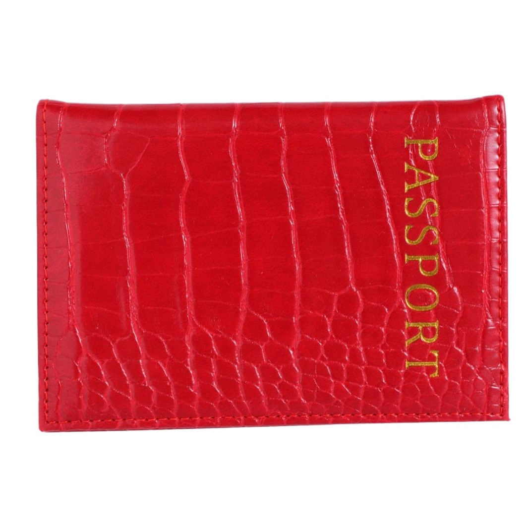 حافظة جواز سفر أنيقة بنمط جلد  - مراجعة Travel Accessories Plane وسعره