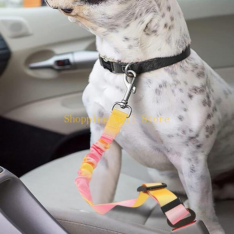 KX4B 3 قطعة القيود قابل للسحب  - مراجعة Travel Accessories Dog وسعره